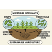 Advanced two-component microbial inoculant ...